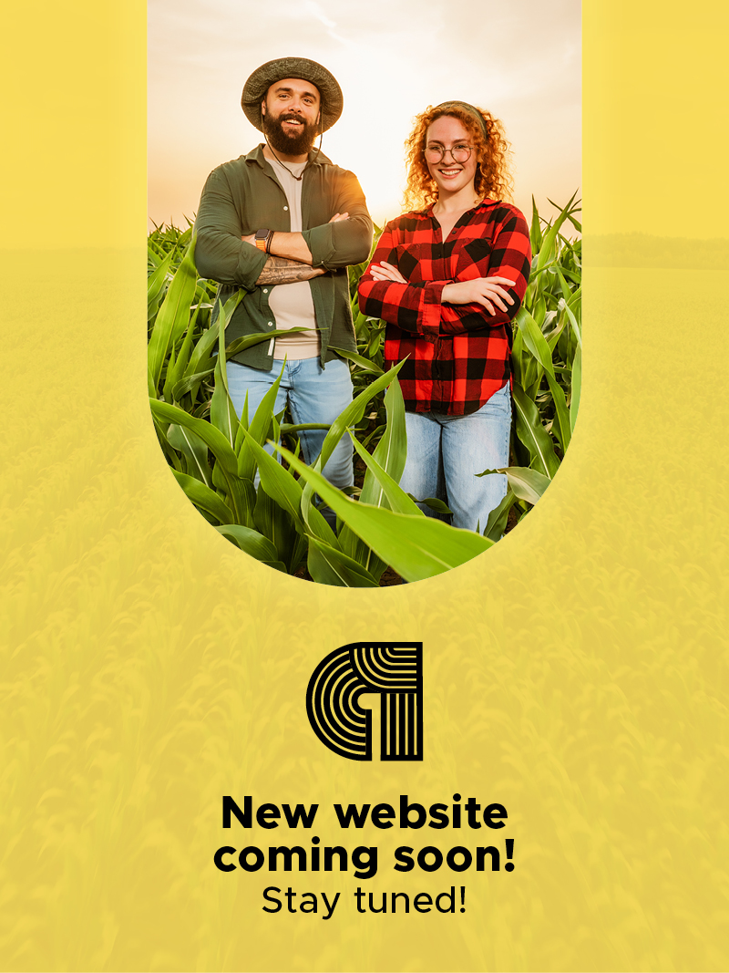 Nouveau site web en ligne bientôt