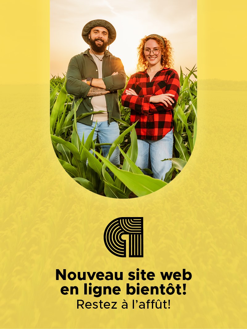 Nouveau site web en ligne bientôt